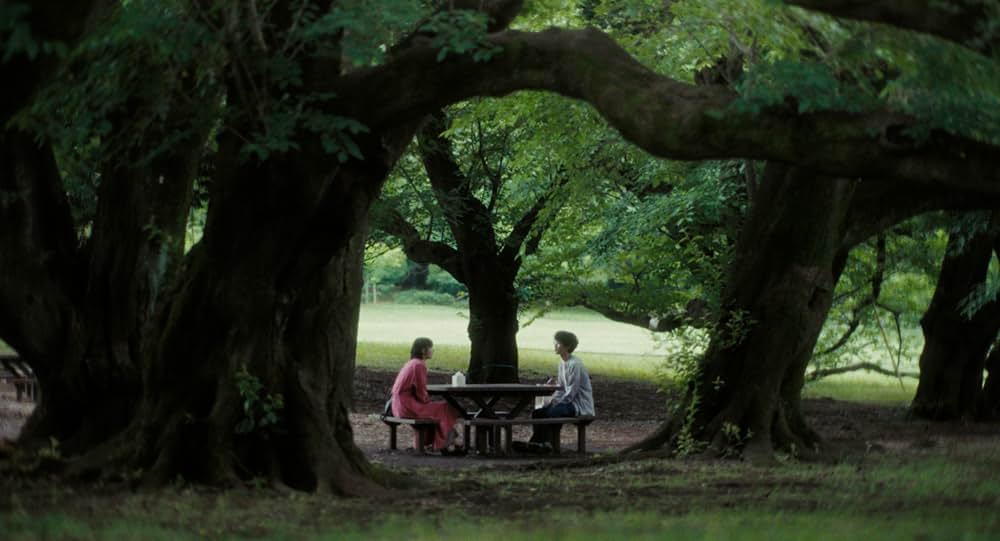 猫を放つの画像