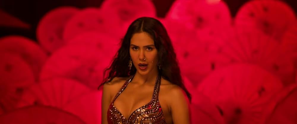 Baaghi 4（原題）の写真