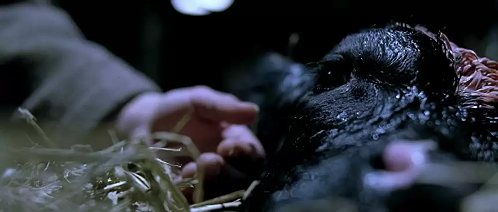 エイリアン パンデミックの画像