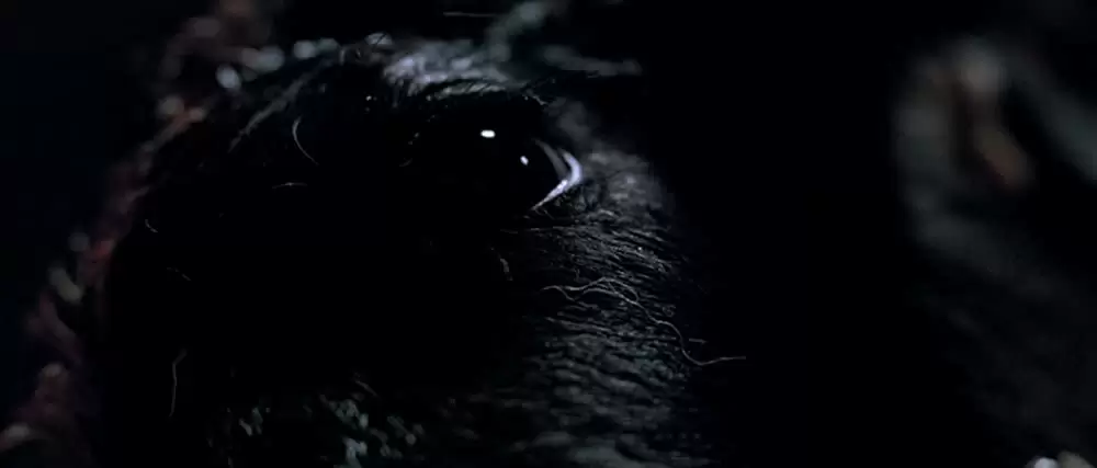 エイリアン パンデミックの画像