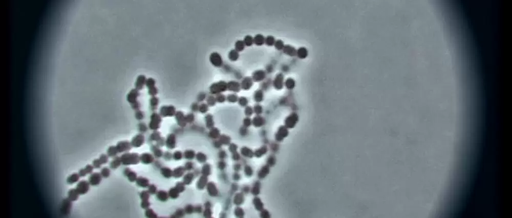 エイリアン パンデミックの画像