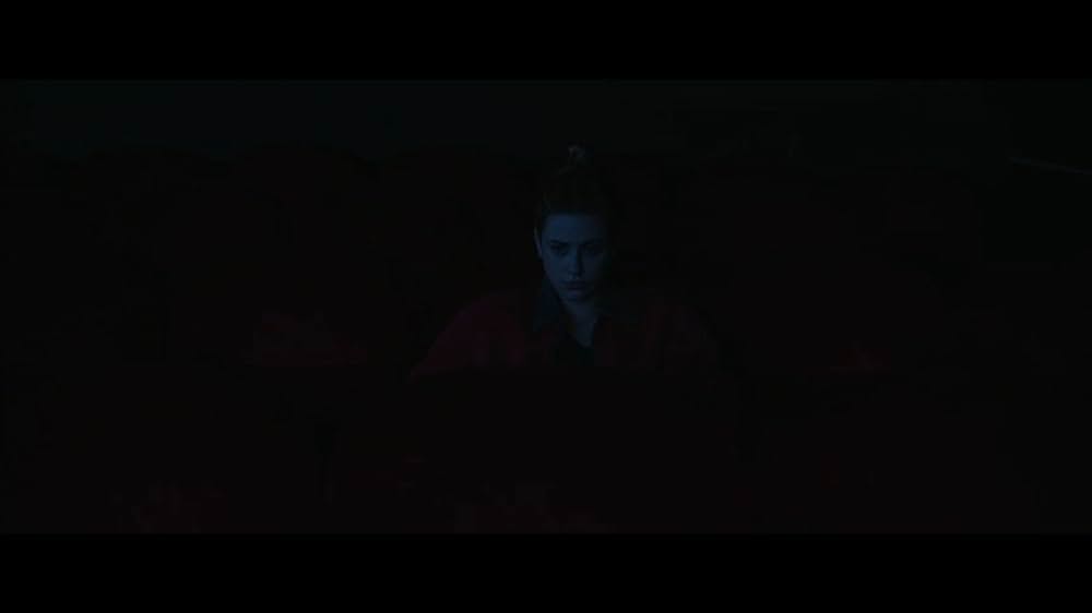 American Sweatshop（原題）の画像