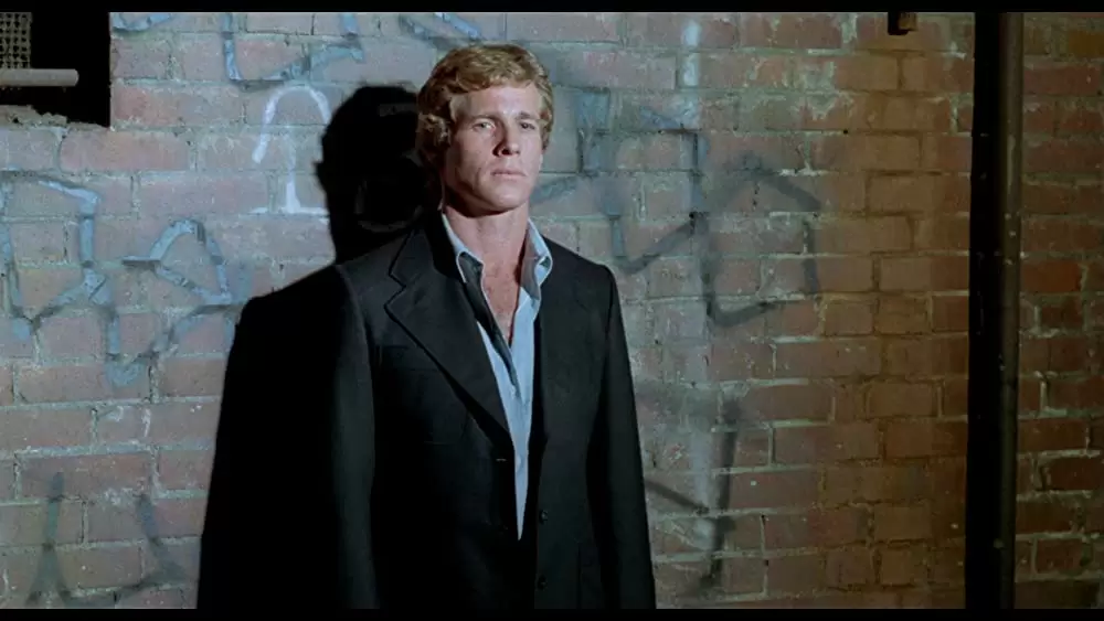 ザ・ドライバーの画像