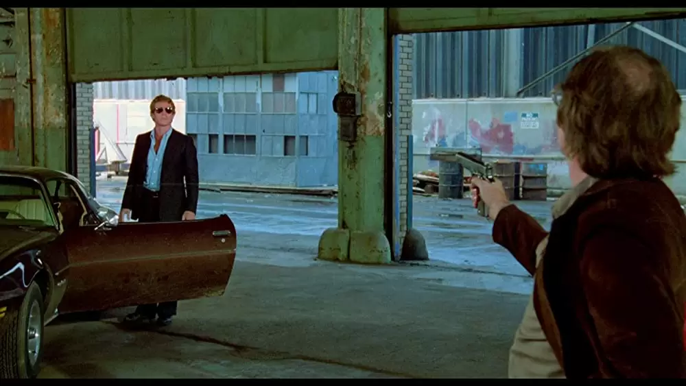 ザ・ドライバーの画像