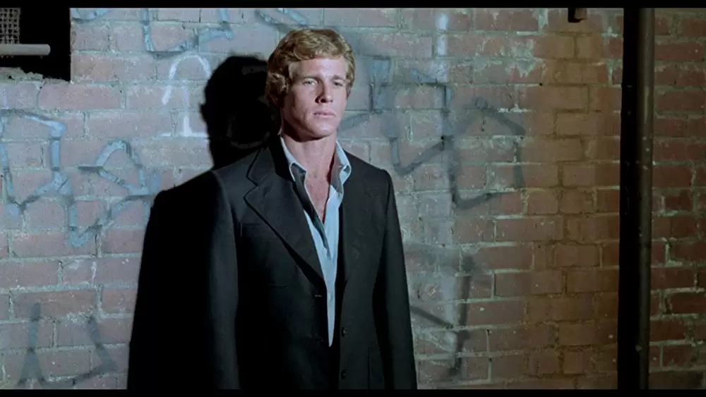 ザ・ドライバーの画像