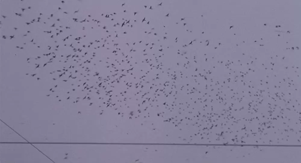 クロッシング・ガードの画像