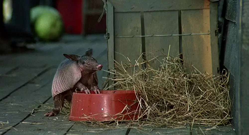 地獄のコマンドの画像