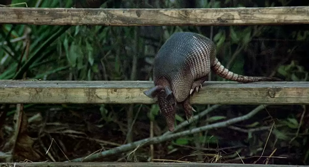 地獄のコマンドの画像
