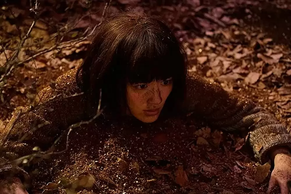 高台家の人々の画像