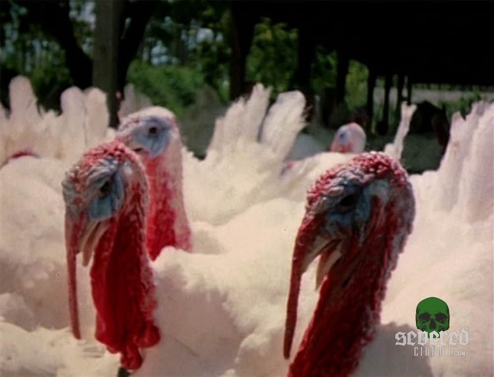 Blood Freak（原題）の画像