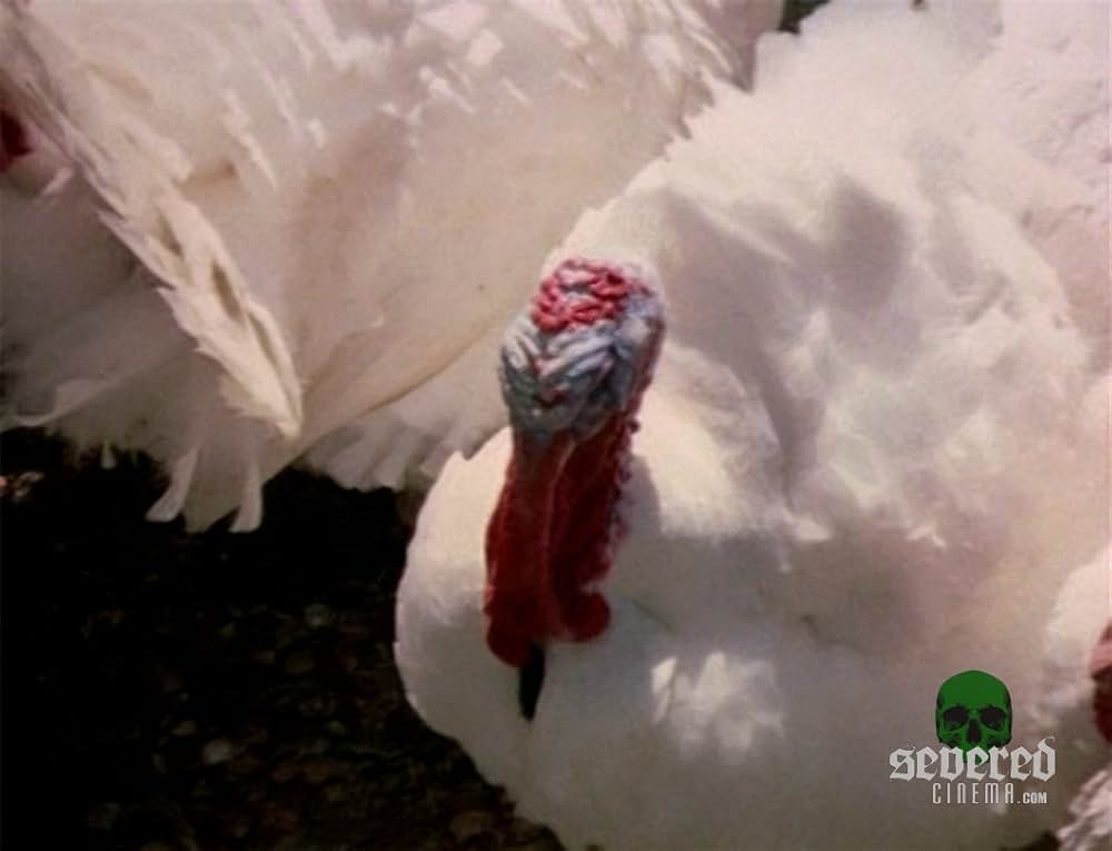 Blood Freak（原題）の画像