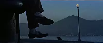 渡り鳥いつまた帰るの画像