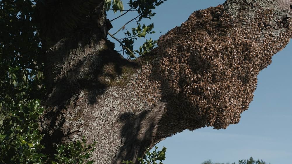 ハムネットの画像