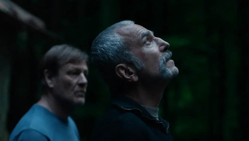 Anemone（原題）の写真