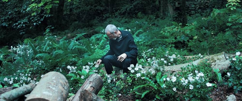 Anemone（原題）の画像