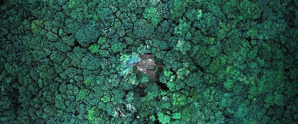 Anemone（原題）の画像