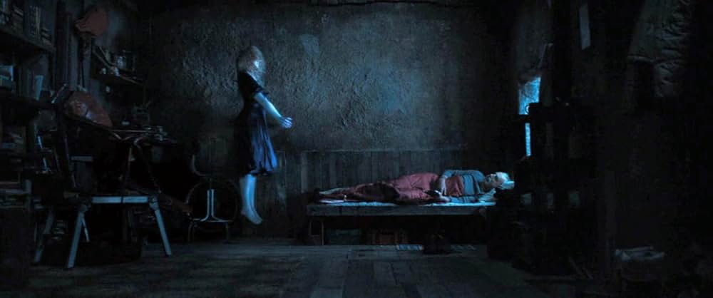 Anemone（原題）の写真