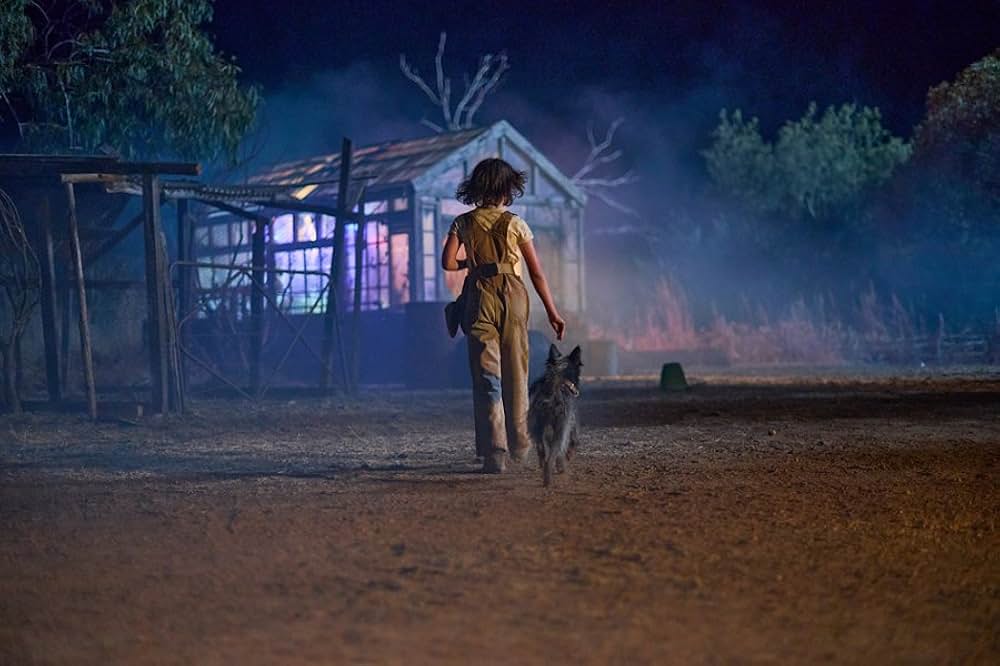 Runt（原題）の画像