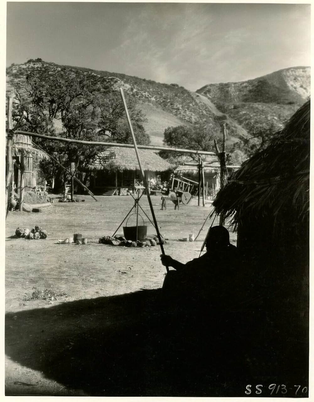 密林の王者の画像