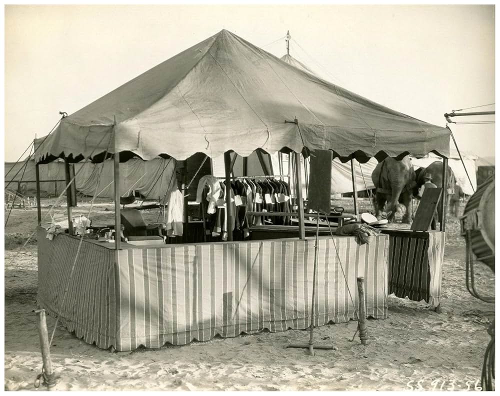 密林の王者の画像