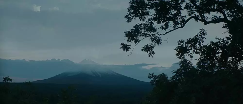 追憶の森の画像