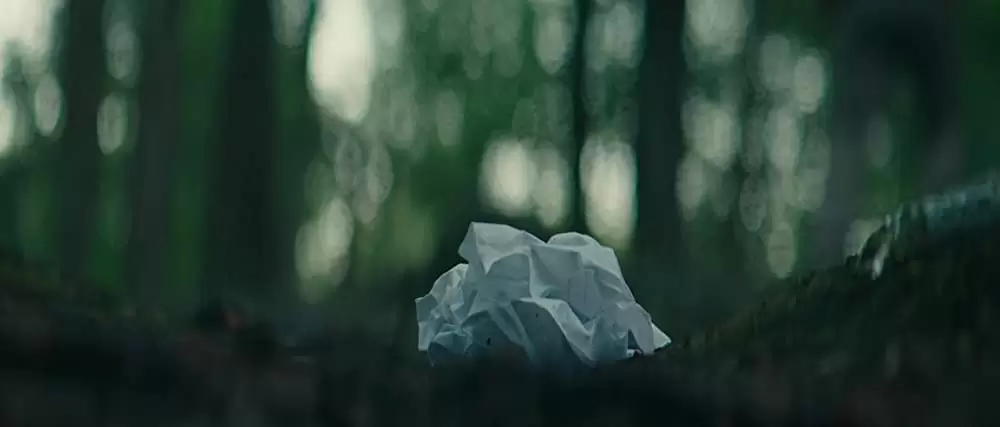 追憶の森の画像