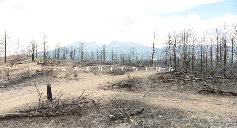 Rebuilding（原題）の画像