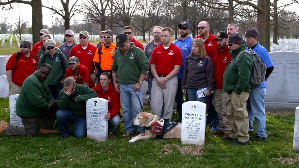 正常への処方という病の画像