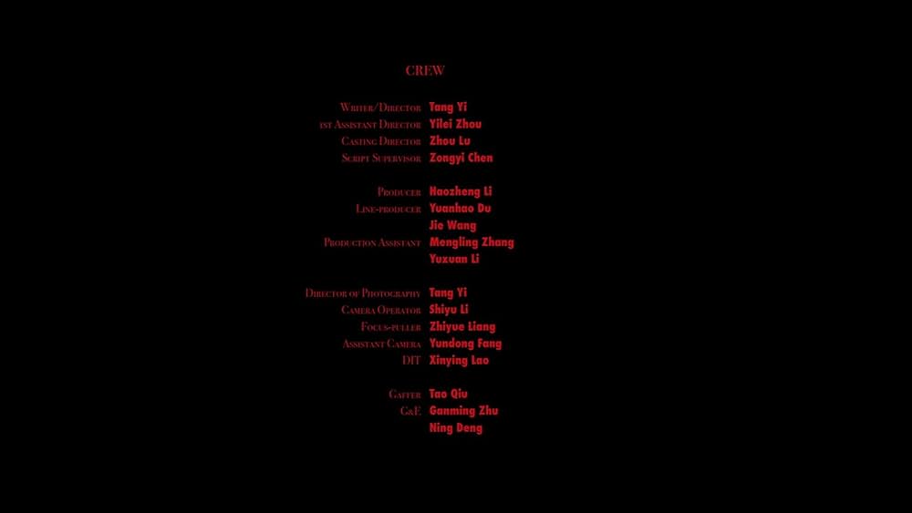 カラスたちの夜の画像