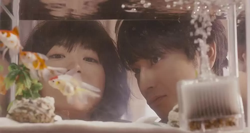 陽だまりの彼女の画像