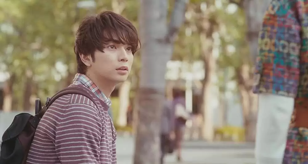 陽だまりの彼女の画像