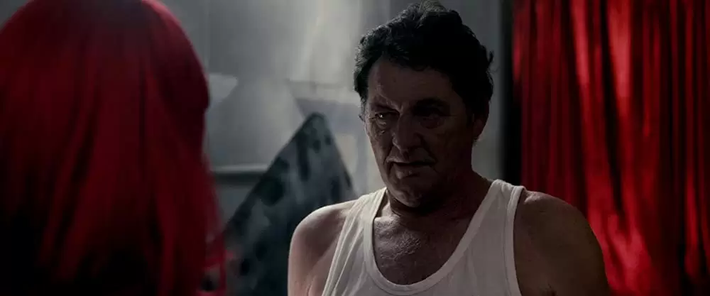 カイト／KITEの画像