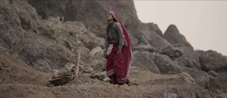 LION ライオン 25年目のただいまの画像