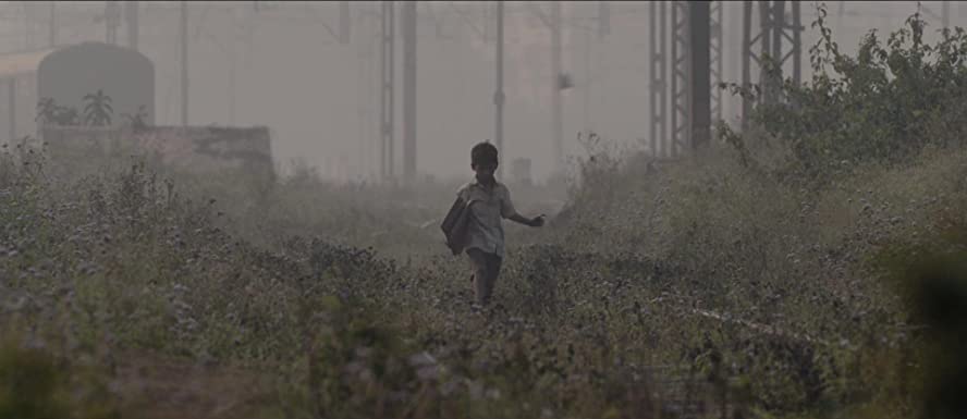 LION ライオン 25年目のただいまの画像