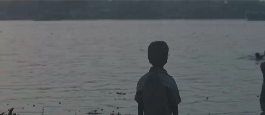 LION ライオン 25年目のただいまの画像