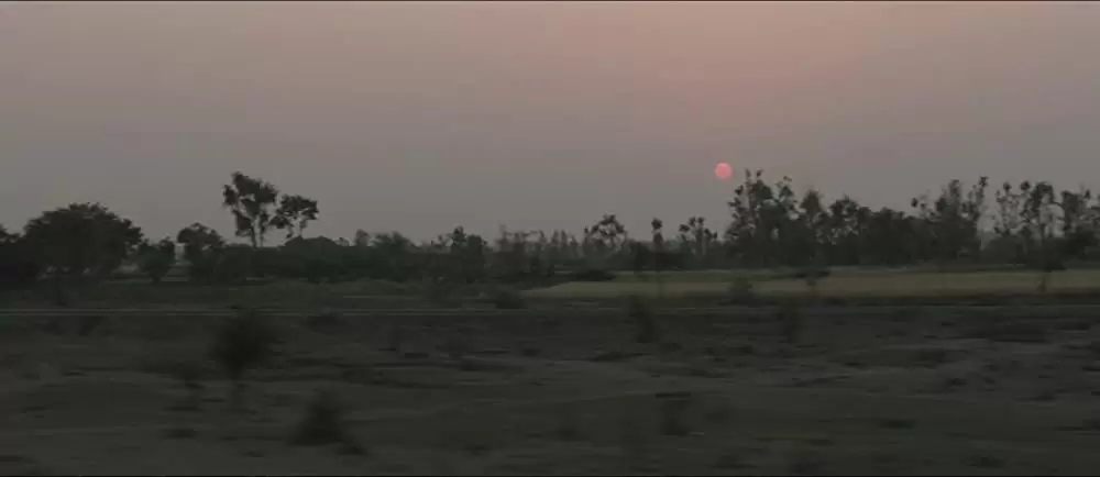 LION ライオン 25年目のただいまの画像