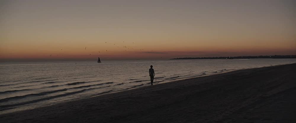 LION ライオン 25年目のただいまの画像