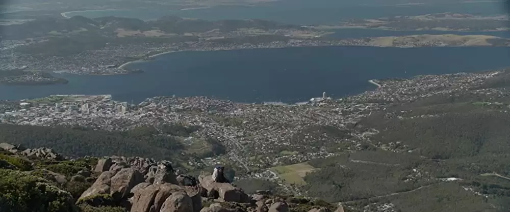 「LION ライオン 25年目のただいま」ルーニー・マーラ & デブ・パテルの画像