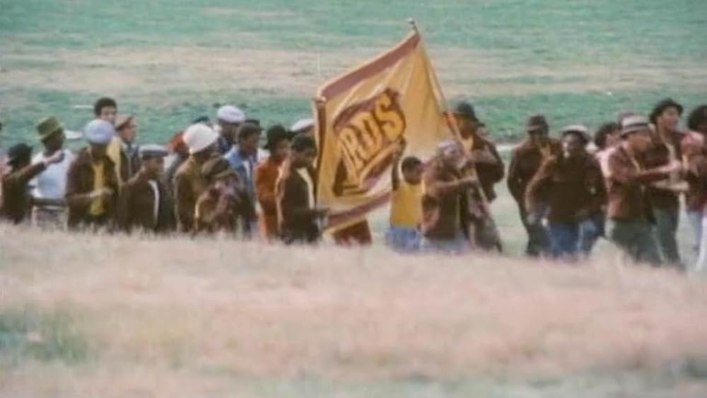 番長ブルースUSAの画像