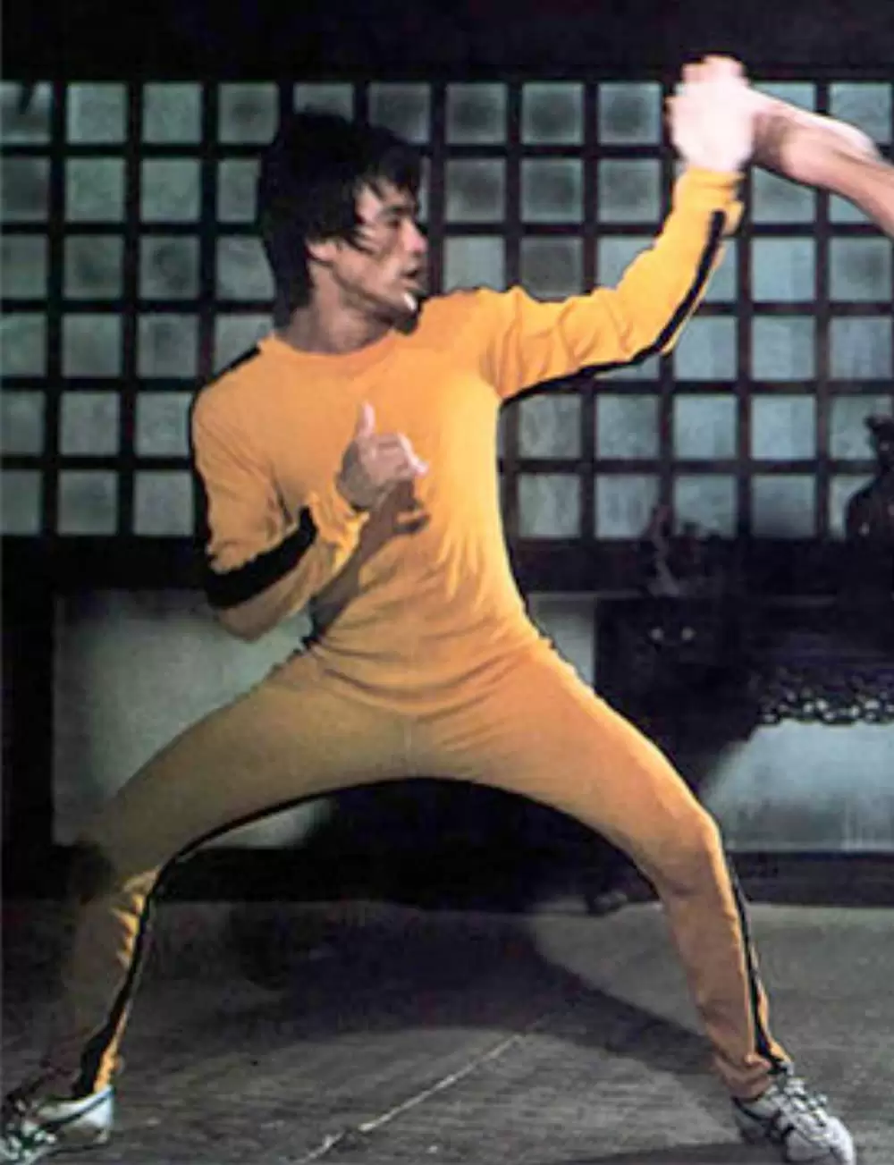 「ブルース・リー／死亡遊戯」ブルース・リーの画像