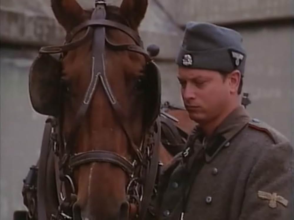 ウィットネスの画像