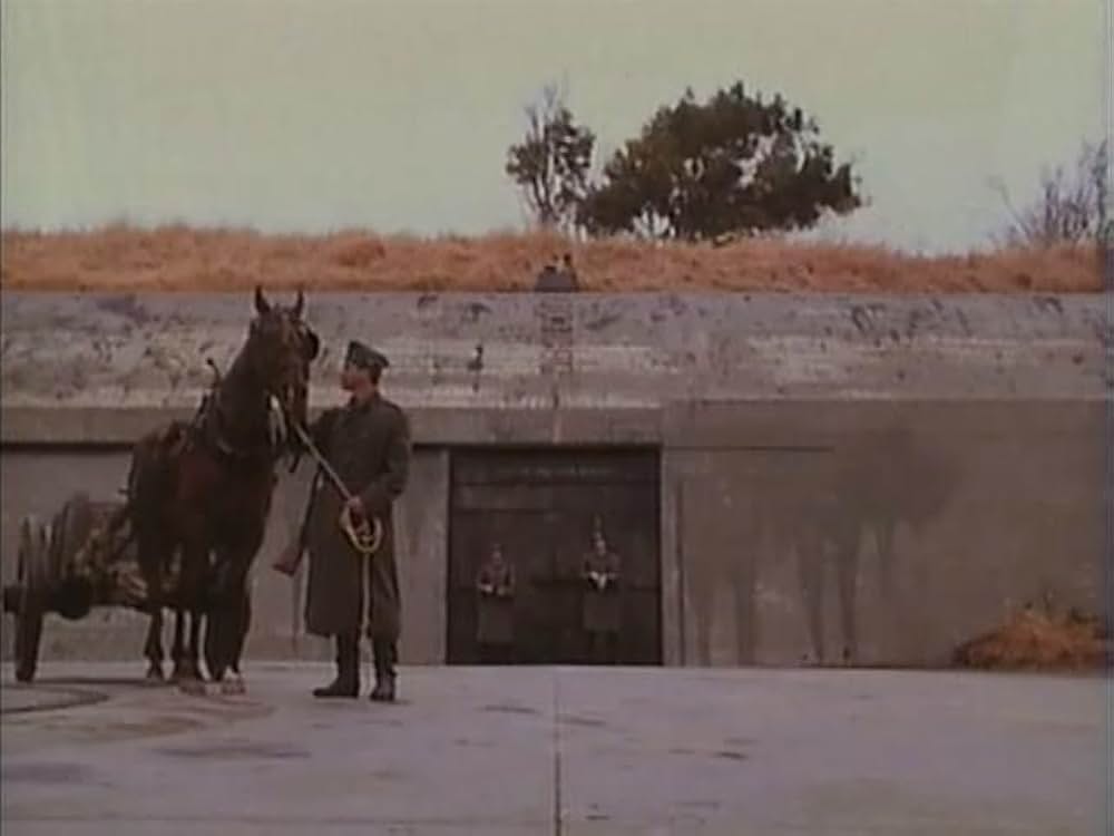 ウィットネスの画像