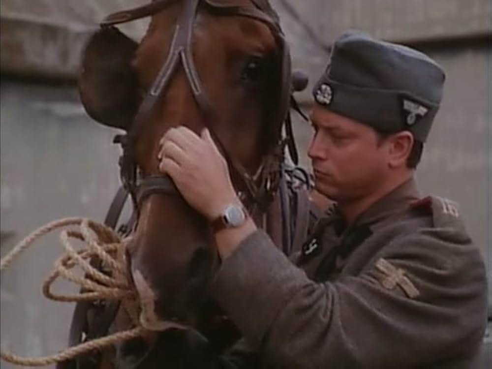 ウィットネスの画像