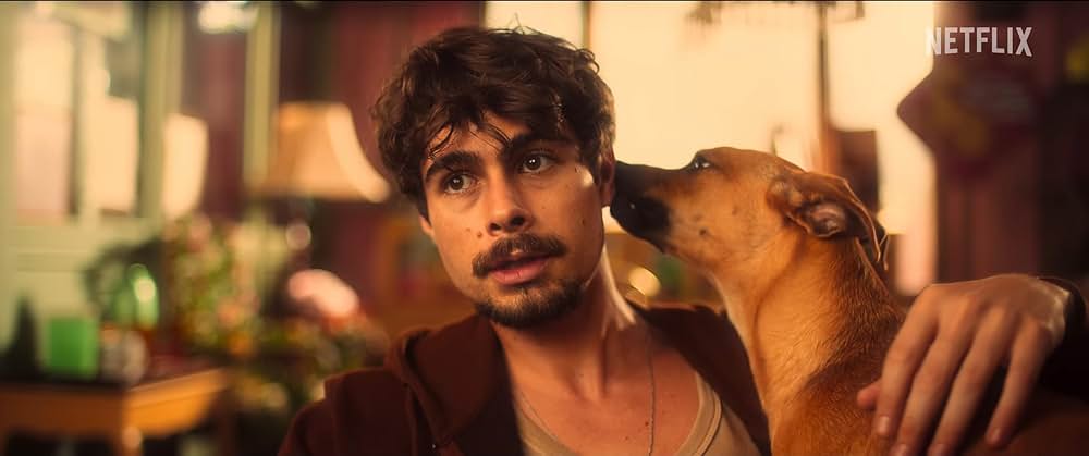 カラメロの画像