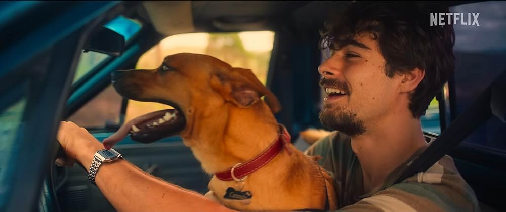 カラメロの画像