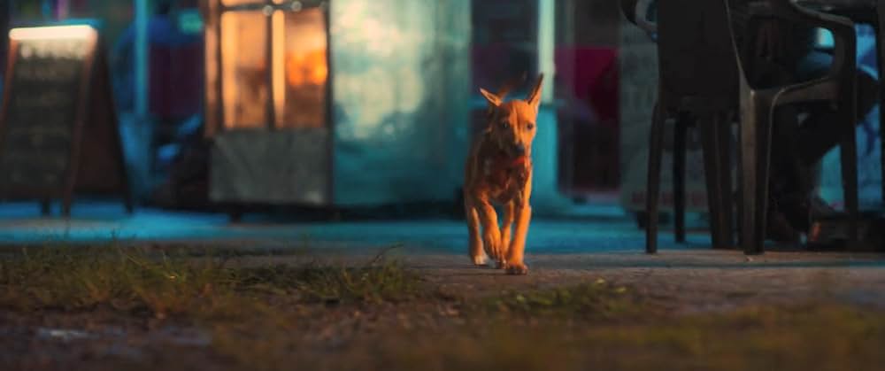 カラメロの画像