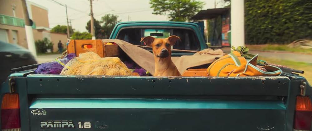 カラメロの画像