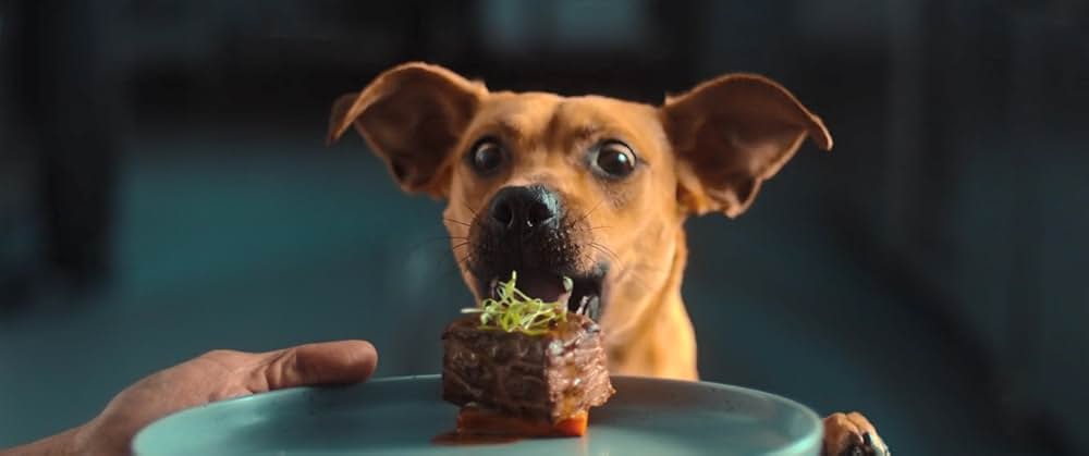 カラメロの画像