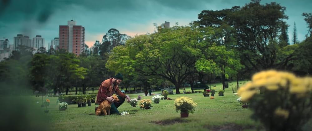 カラメロの画像