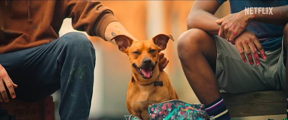 カラメロの画像